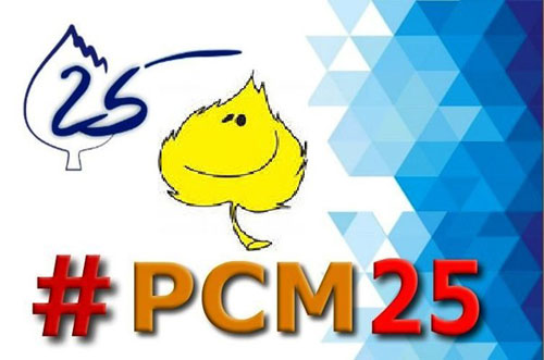 РСМ - 25 лет!