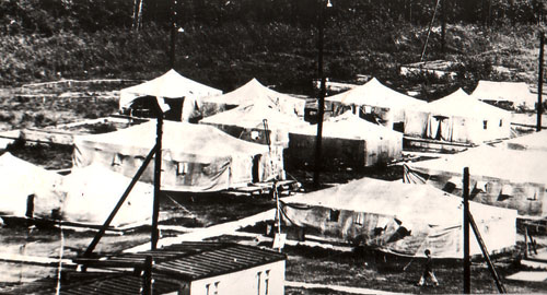     ,     , 1977.